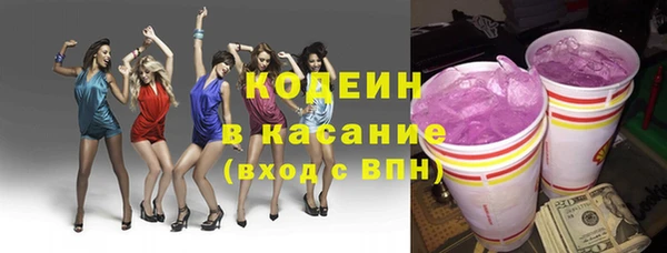 гашик Инта