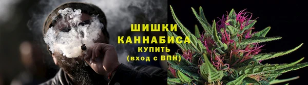 прущая мука Инсар