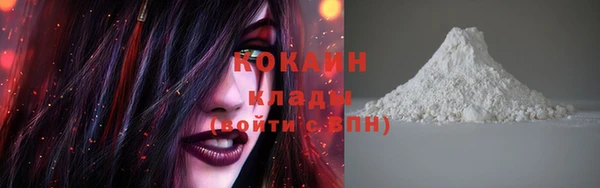 прущая мука Инсар