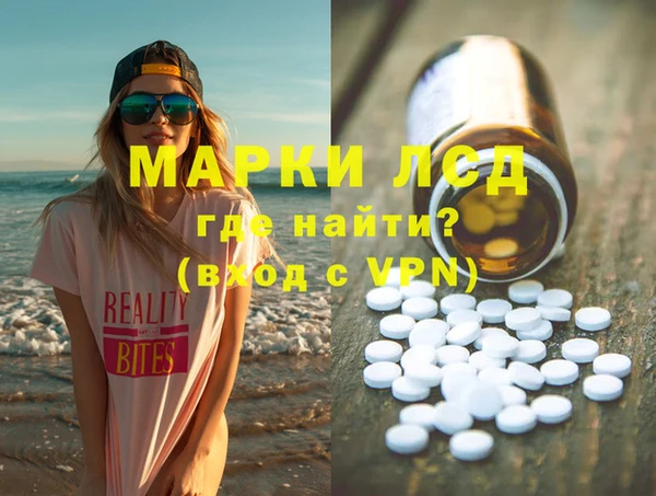 гашик Инта
