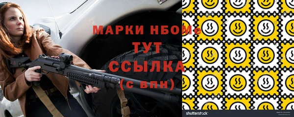 гашик Инта