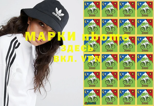 гашик Инта