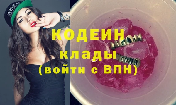 гашик Инта