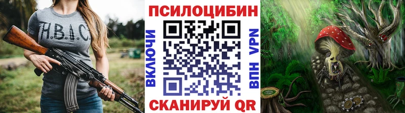 Купить закладки  Воронеж  Псилоцибиновые грибы Magic Shrooms 