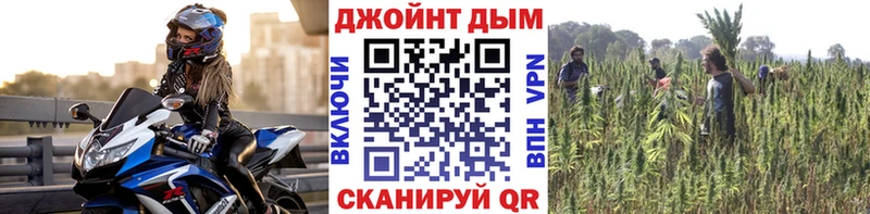 Купить  Воронеж  Конопля семена 